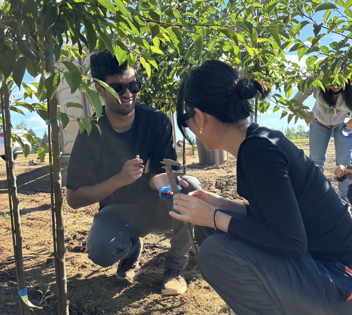 Manual caliper measurement in the field